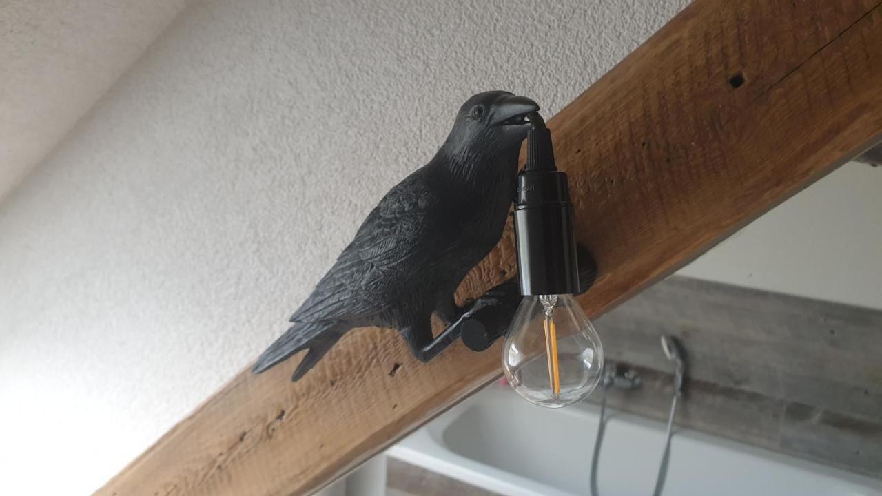Seensucht & Urlaubstraeume, Ferienwohnung "Seeadler" 그로스래셴 외부 사진