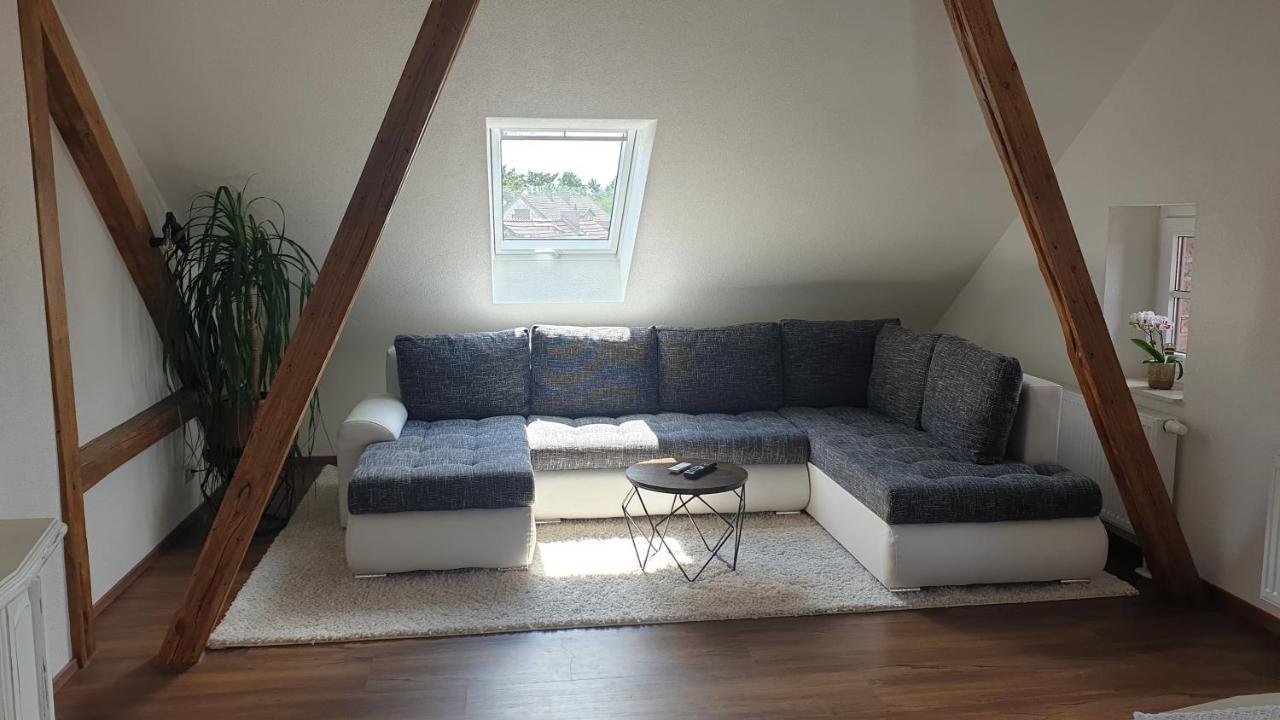Seensucht & Urlaubstraeume, Ferienwohnung "Seeadler" 그로스래셴 외부 사진